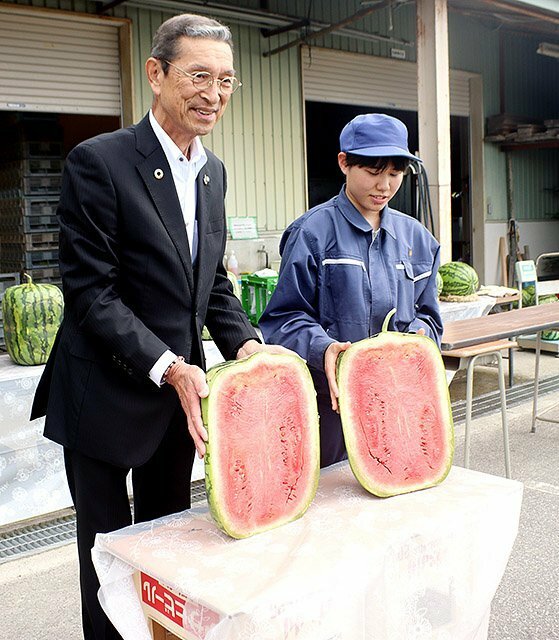 四角いスイカの断面を披露する笹島町長（左）と生徒