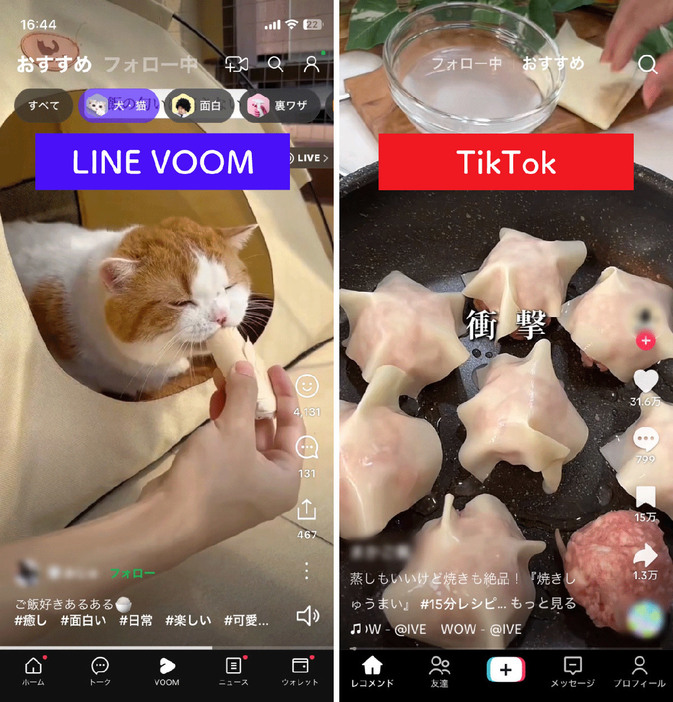 TikTokに似ていることから「LINE版TikTok」とも呼ばれています