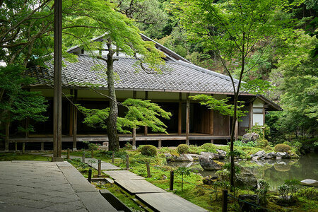 蓮華寺。初夏には青もみじが美しい姿を見せてくれます。