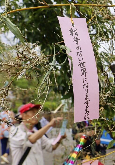 平和の願いを込め、飾り付けられた短冊＝7日午前、長崎市の平和公園