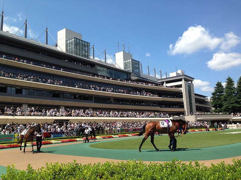 競馬イメージ写真