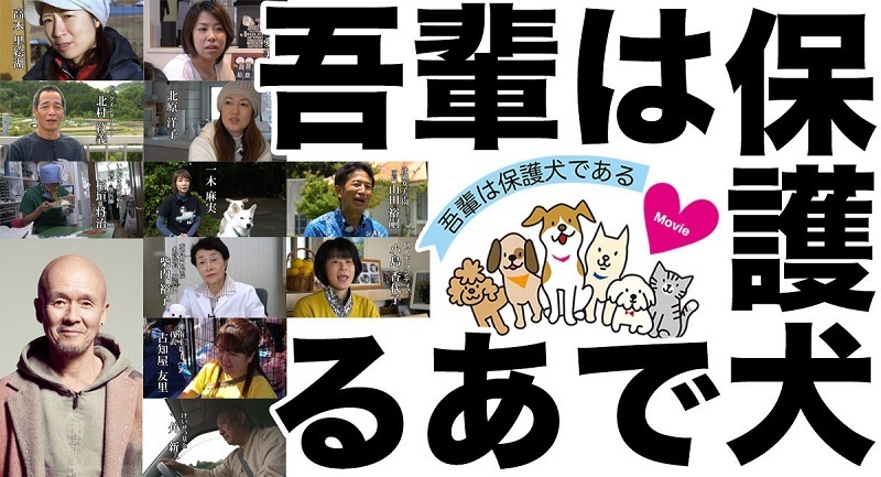 保護犬と人間の幸せな共生を描く『吾輩は保護犬である』、沖縄で上映　女子少年院の少女と保護犬の交流も