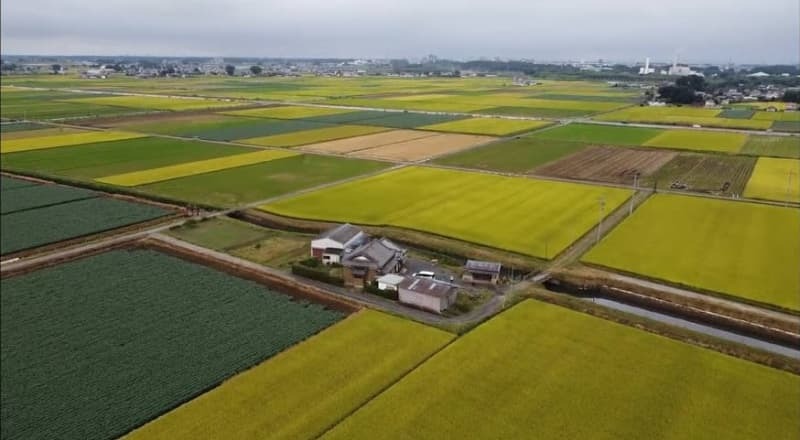 「まなかのいえ」を囲むように見渡す限りの田畑が広がる（宿泊客がドローンを使って撮影、ダイバーステイ提供）