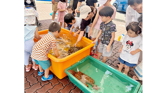 タッチプールで魚と触れ合う子どもたち＝15日、ユーグレナ石垣港離島ターミナル