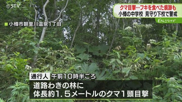 STVニュース北海道