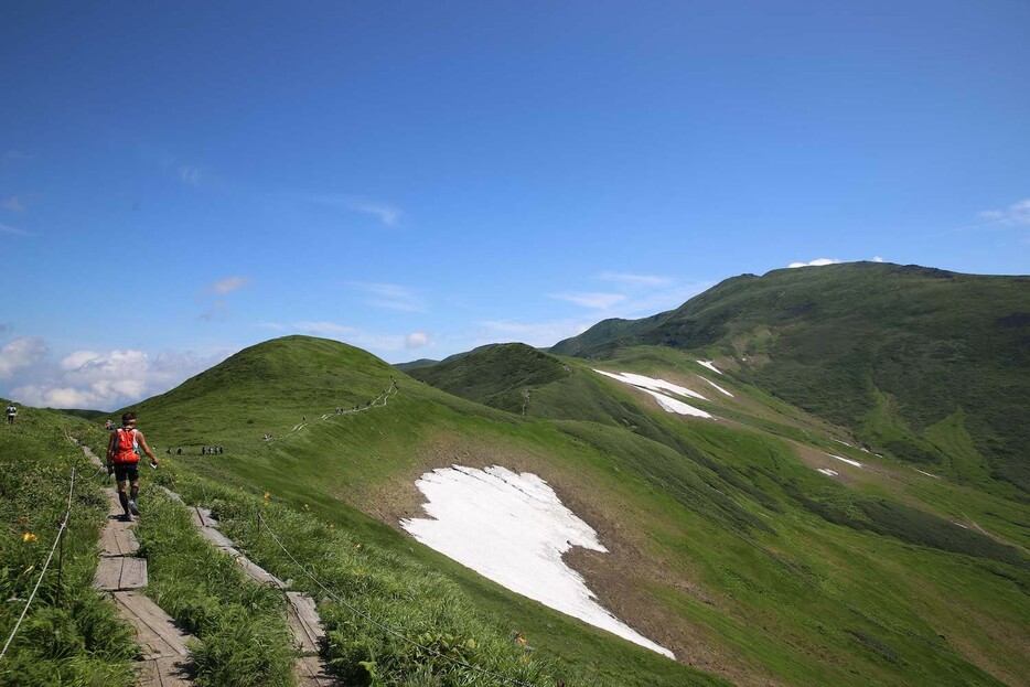 高山植物の宝庫、月山トレッキングでゴールを目指す参加者