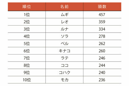 アニコム損害保険の「どうぶつ健保」に新規契約した0歳の猫53,892頭を対象に実施。