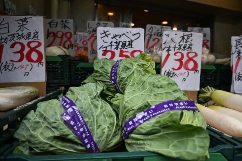 青果店の店頭に並べられたキャベツ＝２０２４年５月、東京都新宿区