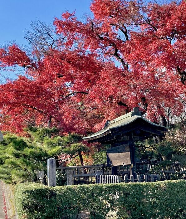 風格漂う秋の大覚寺前