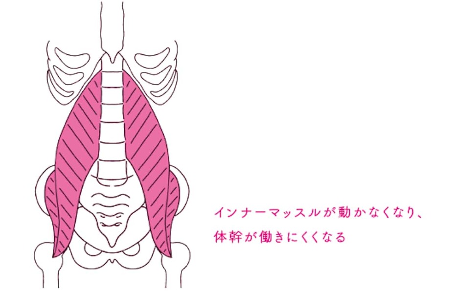 インナーマッスルが動かなくなり、体幹が働きにくくなる