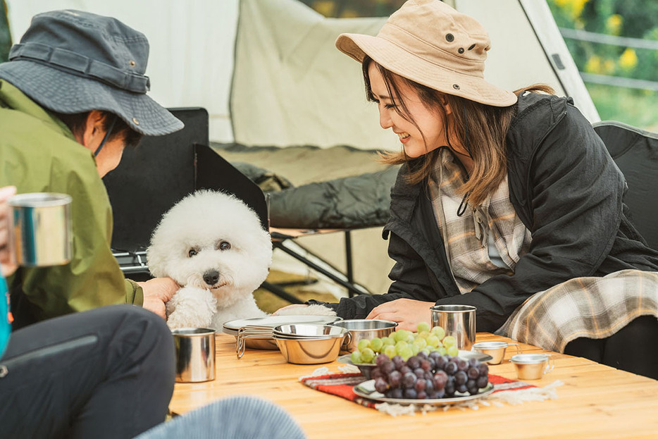 愛犬連れOKの宿