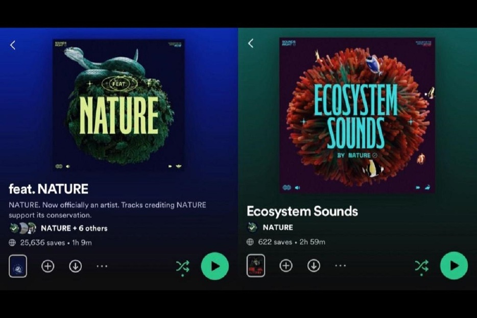 地球が、音楽ストリーミングの公式アーティストに。自然音再生の収益を環境保全へ