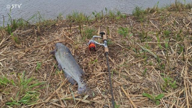 提供：釣り上げた木下さん