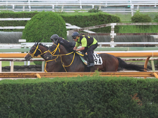 マーキュリーCに向けて調整するビヨンドザファザー(写真外、撮影：井内利彰)