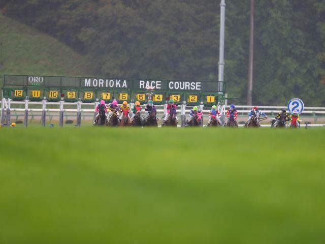 盛岡競馬場の芝コース(撮影：高橋正和)