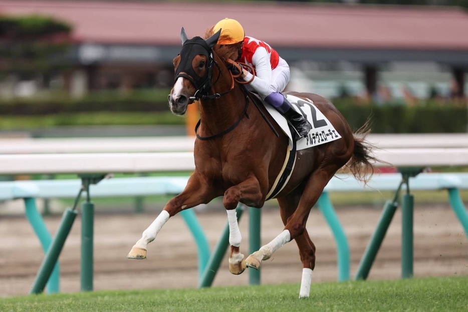 札幌5R・アルテヴェローチェと武豊騎手 (C)Super Markun