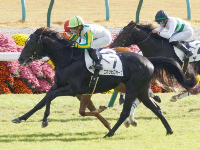 中京記念に出走予定のニホンピロキーフ(ユーザー提供：KENさん)