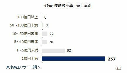 教養・技能教授業　売上高別