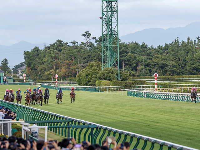 新潟競馬場名物の“千直”(撮影：下野雄規)