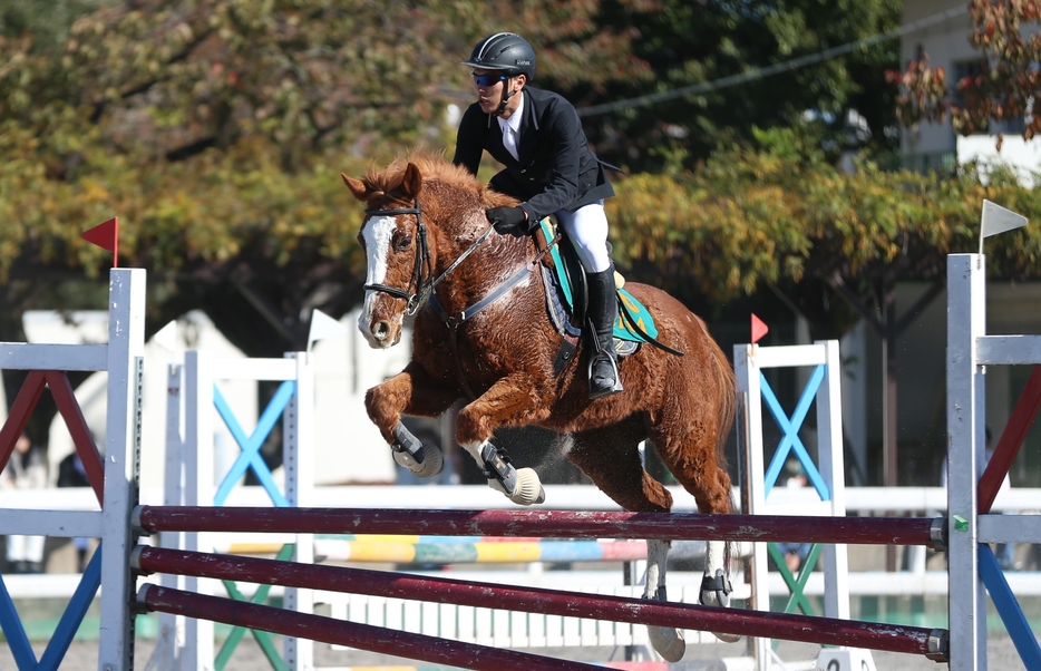 「近代五種」の馬術で障害を飛越する選手