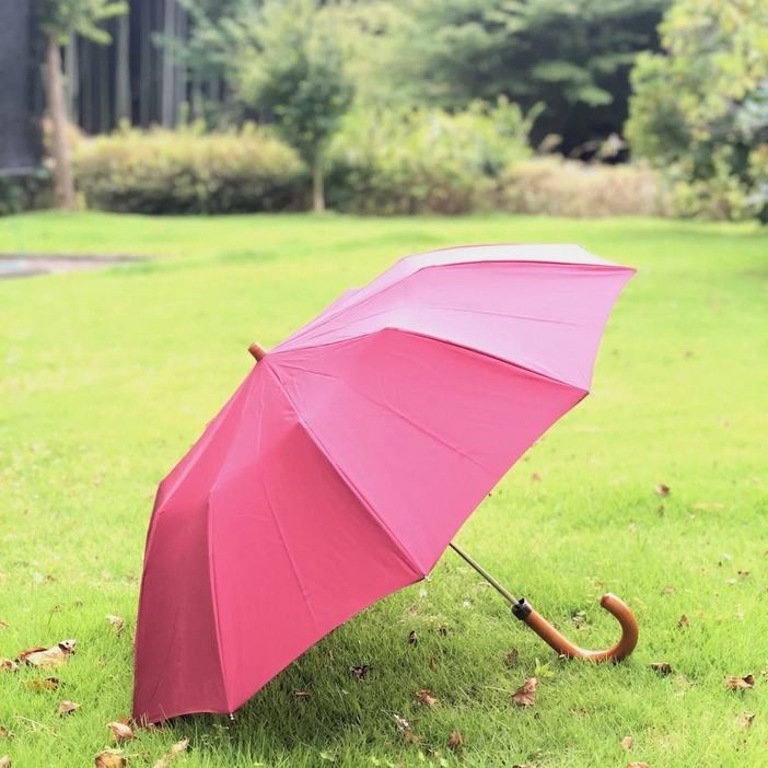 MAPLE CANE CROOK HANDLE BURGUNDY TELESCOPIC FOLDABLE UMBRELLA ￡65.00