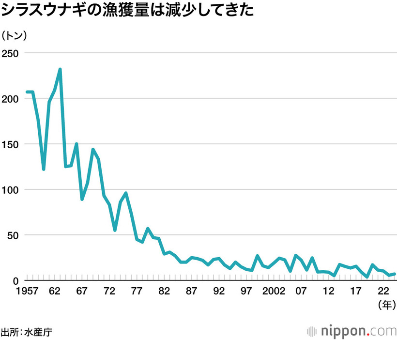 シラスウナギの漁獲量は減少してきた