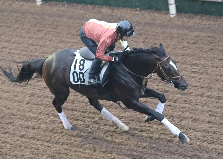 前走オープン勝ちもそこまで人気にならなさそうなブラックアーメット