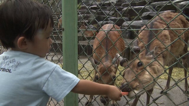 『岡崎市東公園動物園』の様子