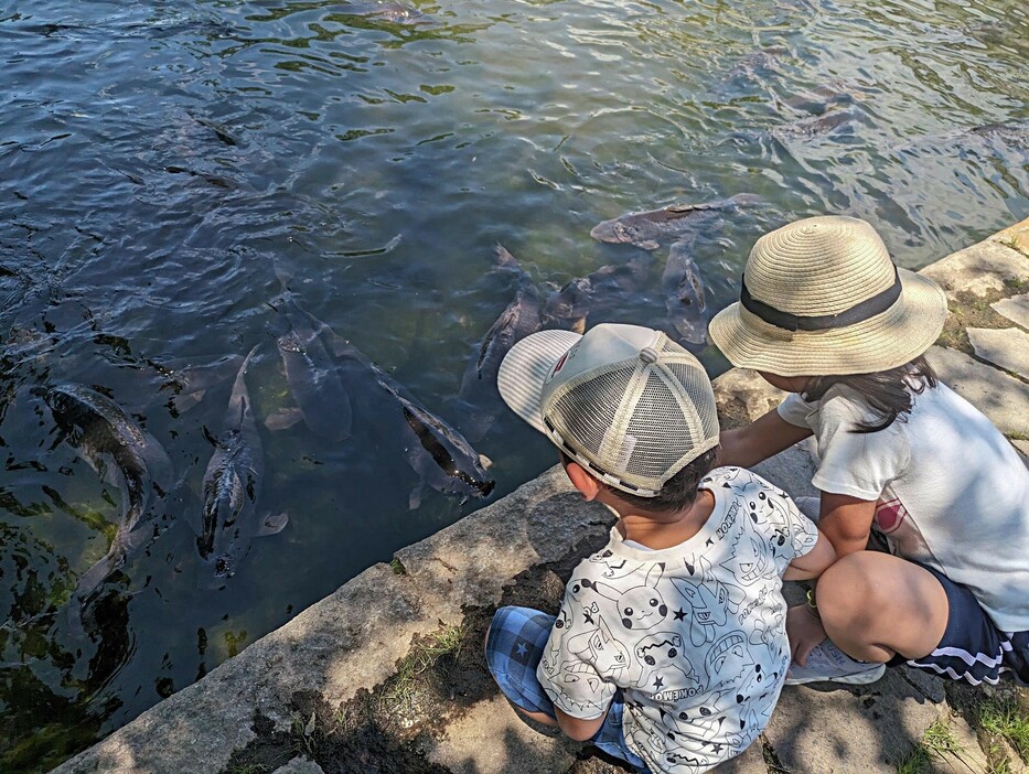 外出や留守番が増える夏休み