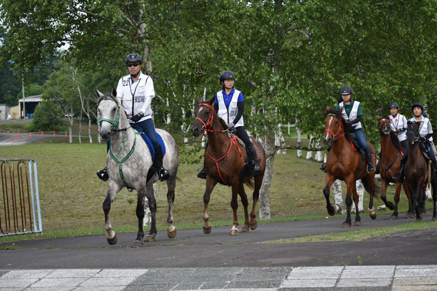 村球技場をスタートした馬たち（14日午前6時30分ごろ）