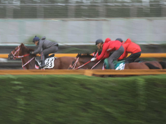 マーキュリーCを目指すテンカハル(写真左、撮影：井内利彰)