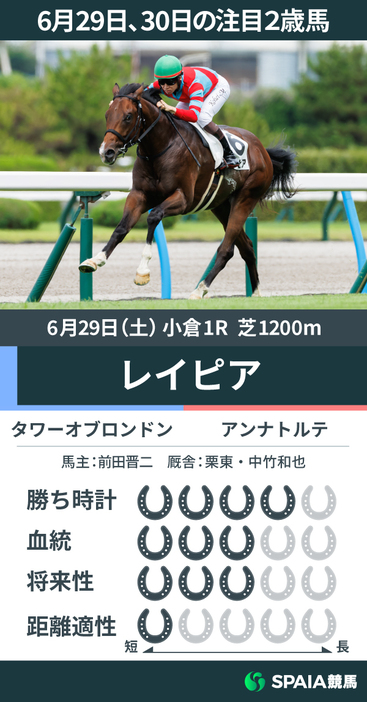 6月29日の注目2歳馬レイピア