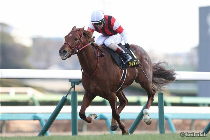 初の直線競馬となるウイングレイテスト