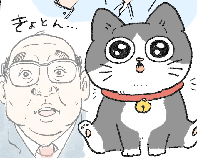 子猫は可愛いのに、中のおじさんはこんな顔をしてる!!