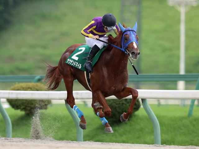 1番人気サウザンドマイルが勝利(提供：岩手県競馬組合)