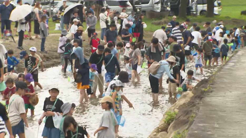 子どもたちがアユのつかみ取り　広島・府中市