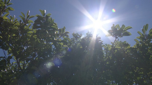 高松で今年初の猛暑日　岡山・香川各地で最高気温更新