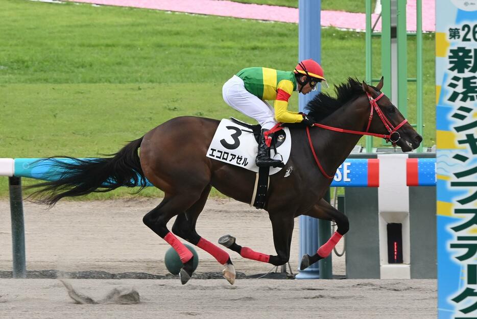 　２歳新馬戦を制したエコロアゼル（撮影・園田高夫）