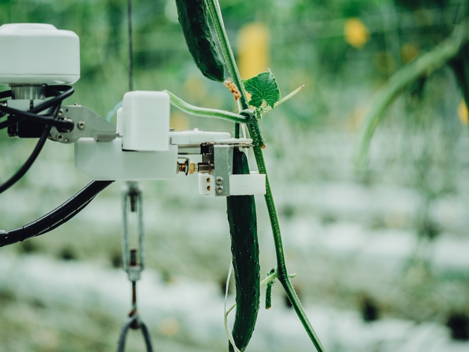 きゅうり収穫ロボットのAGRIST、シリーズBラウンドで資金調達を実施--AI活用で農業の課題解決の画像
