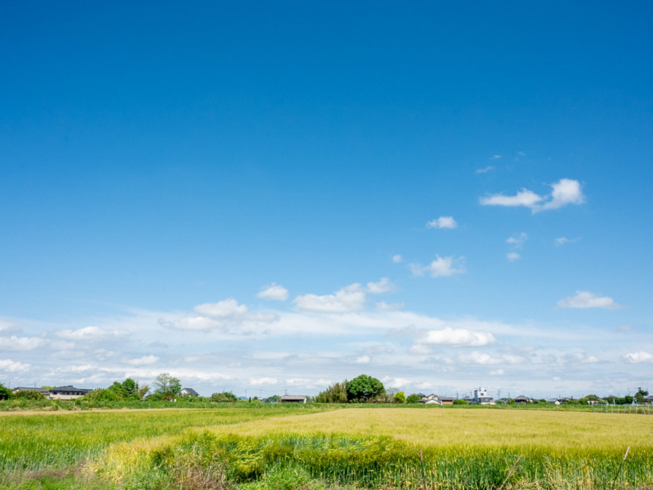 茨城県に入るとあちこちに広がる田園風景