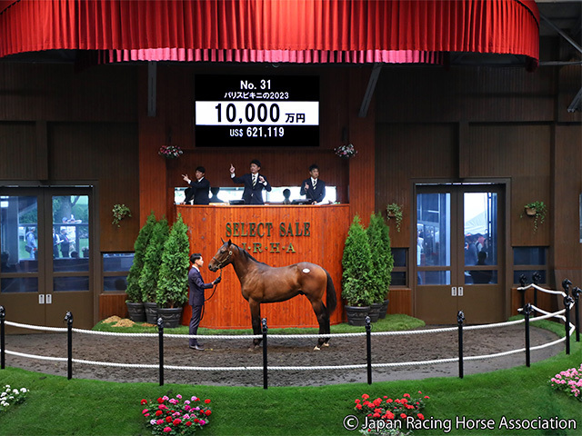 パリスビキニの2023は1億円で藤田晋氏が落札(提供：日本競走馬協会)