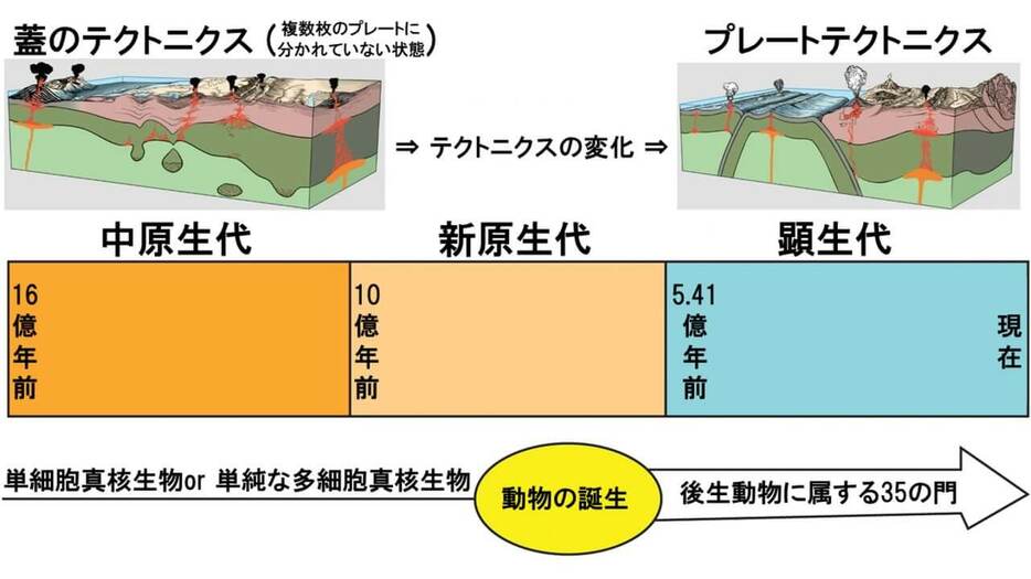 Stern氏とGerya氏は、地球におけるプレートテクトニクスが本格化したタイミングと、複雑な動物化石が見つかり始めるタイミングが一致することは偶然ではないと考えています。