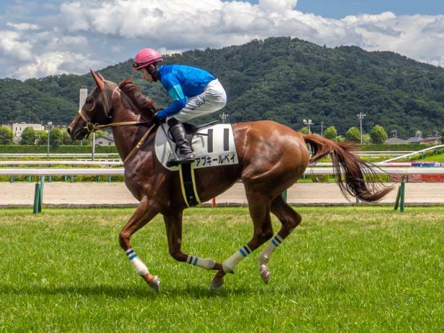 福島6Rの新馬戦を制したアブキールベイ(撮影：下野雄規)