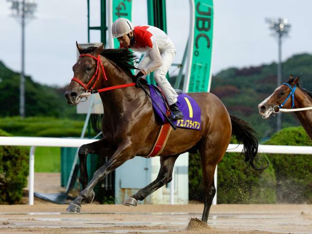 佐賀王冠賞を制したアエノブライアン(写真提供：佐賀県競馬組合)