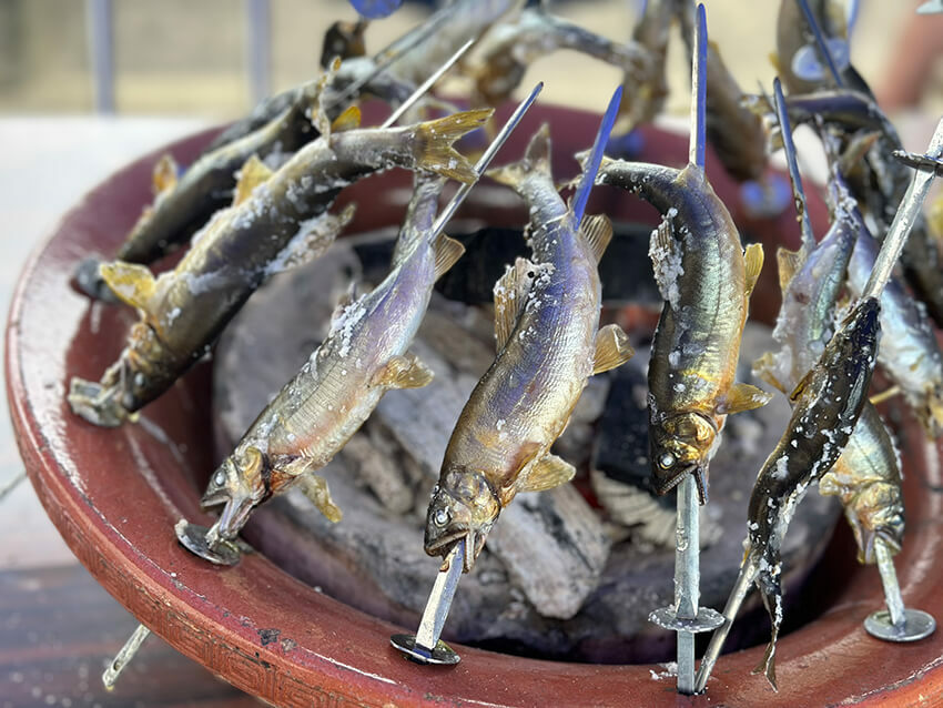 塩焼きにするのも最高ですね‼︎