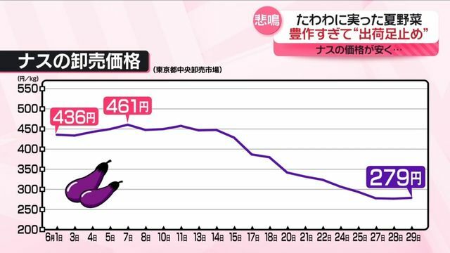 日テレNEWS NNN