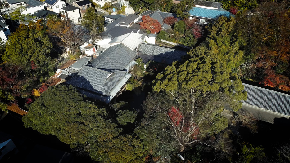 敷地一万坪の老舗旅館「鶴巻温泉 元湯 陣屋」