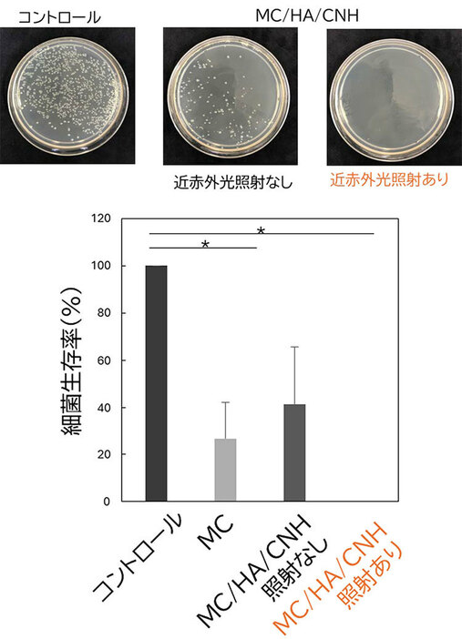 今回開発した複合体に近赤外光を照射することで、細菌生存率はほぼゼロになった（北海道大学提供）