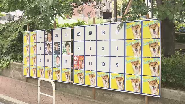 犬のポスターにジャックされた掲示板