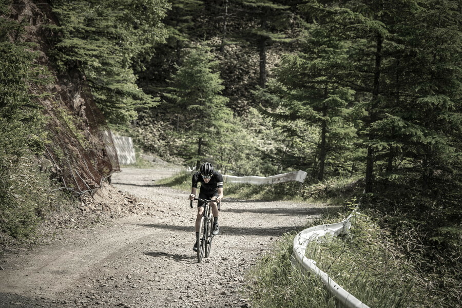 写真：Bicycle Club